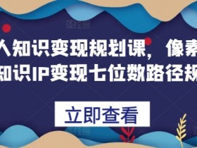 普通人知识变现规划课，像素级拆解知识IP变现七位数路径规划