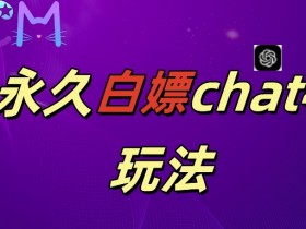 2024最新GPT4.0永久白嫖，作图做视频的兄弟们有福了【揭秘】