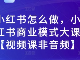 小红书怎么做，小红书商业模式大课【视频课非音频】