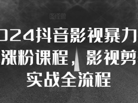 2024抖音影视暴力起号涨粉课程，影视剪辑搬运实战全流程