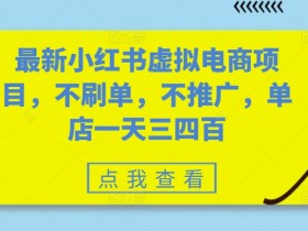最新小红书虚拟电商项目，不刷单，不推广，单店一天三四百