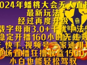 2024年蟠桃大会无人直播最新玩法，稳定开播160小时无违规，抖音、快手、视频号三家通用玩法【揭秘】