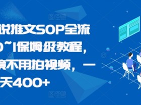 最新小说推文SOP全流程，从0~1保姆级教程，不用出镜不用拍视频，一天400+