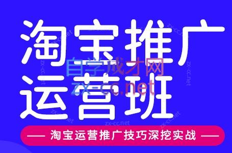 美迪电商·淘宝高级运营班+推广运营班（更新25年1月）