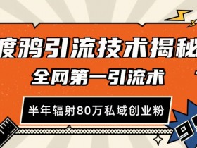 渡鸦引流技术，全网第一引流术，半年辐射80万私域创业粉 【揭秘】