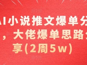 AI小说推文爆单分享，大佬爆单思路分享(2周5w)