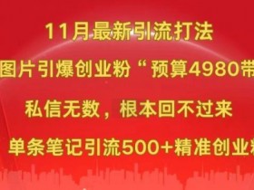 小红书11月最新图片打粉，一张图片引爆创业粉，“预算4980带我飞”，单条引流500+精准创业粉