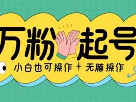 无脑涨万粉方法，2天必起千粉，单日收益2张，小白轻松上手【揭秘】