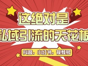 最新首发全平台引流玩法，公域引流私域玩法，轻松获客500+，附引流智能托管，克隆截流自热玩法【揭秘】