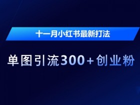 十一月小红书最新打法，单图引流300+创业粉【揭秘】
