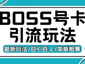 Boss直聘流量卡引流变现玩法，日引200+创业粉【揭秘】