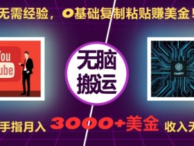 无需经验，0基础复制粘贴赚美刀，动动手指，月入3000+刀，无上限【揭秘】