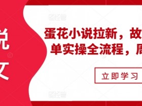 小说推文之蛋花小说拉新，故事混剪爆单实操全流程，周入过万