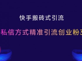 快手搬砖式引流，最新私信方式精准引流创业粉300+