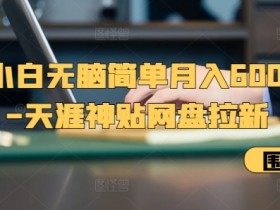 新手小白无脑简单月入6000+的-天涯神贴网盘拉新【揭秘】