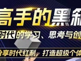高手的黑箱：AI时代学习、思考与创作-分红时代红利，打造超级个体