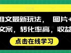 小说推文最新玩法， 图片+搭配小说文案，转化率高，收益稳定