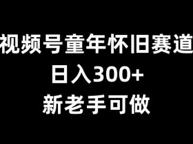 视频号童年怀旧赛道，日入300+，新老手可做【揭秘】