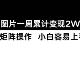 小红书【卖图片】一周累计变现2W+小白易上手