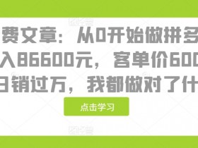 某付费文章：从0开始做拼多多18天收入86600元，客单价600块稳定日销过万，我都做对了什么?