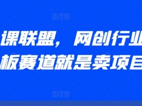 AI卖课联盟，网创行业天花板赛道就是卖项目