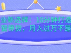 宝妈创业新选择：10分钟打造育儿视频橱窗带货，月入过W不是空谈【揭秘】