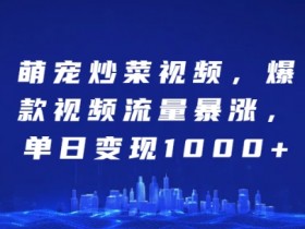 萌宠炒菜视频，爆款视频流量暴涨，单日变现1k