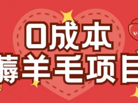 0成本，薅羊毛玩法一分钱不花一部手机即可操作单机1个小时30+