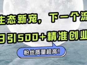 微信生态新宠小绿书：下一个流量洼地，日引500+精准创业粉，粉丝质量超高
