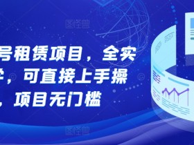 游戏账号租赁项目，全实操教学，可直接上手操作，项目无门槛
