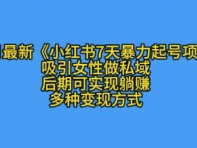 K总部落11月最新小红书7天暴力起号项目，吸引女性做私域【揭秘】