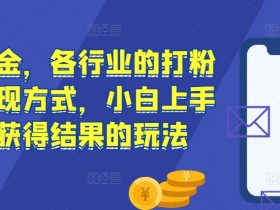 流量掘金，各行业的打粉以及变现方式，小白上手快速获得结果的玩法