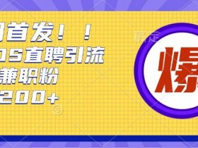 通过Boss直聘，每天轻松钓到200+多条创业大鱼的秘籍【揭秘】