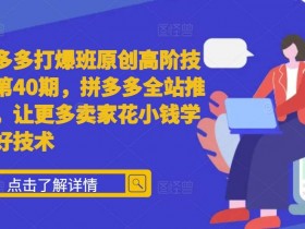 拼多多打爆班原创高阶技术第40期，拼多多全站推广，让更多卖家花小钱学到好技术