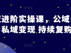 私域进阶实操课，公域引流 私域变现 持续复购