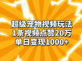 超级宠物视频玩法，1条视频点赞20万，单日变现1k