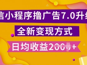 小程序自动运行最新7.0玩法，全新升级玩法，日均多张，小白可做【揭秘】