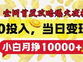 全网首发爆火夜校，0投入，当日变现，小白轻松月入1w+【揭秘】