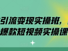 实体引流变现实操班，同城爆款短视频实操课