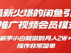 闲鱼引流推广影视会员，0成本就可以操作，新手小白月入过W+【揭秘】