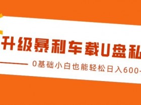 升级暴利车载U盘私域玩法，0基础小白也能轻松日入多张【揭秘】