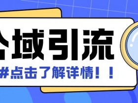 全公域平台，引流创业粉自热模版玩法，号称日引500+创业粉可矩阵操作