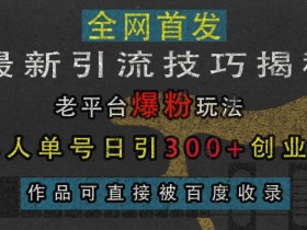 最新引流技巧揭秘，老平台爆粉玩法，单人单号日引300+创业粉，作品可直接被百度收录