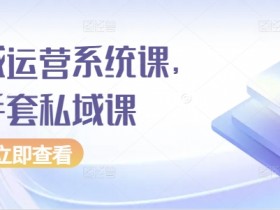 私域运营系统课，白手套私域课