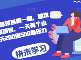 2024AI撸金项目第一期，稳定长久蓝海项目，一天两个小时，一天200到500毫压力