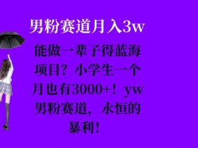 能做一辈子的蓝海项目？小学生一个月也有3000+，yw男粉赛道，永恒的暴利