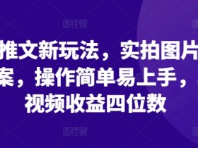 小说推文新玩法，实拍图片+小说文案，操作简单易上手，单条视频收益四位数