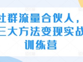 社群流量合伙人，三大方法变现实战训练营