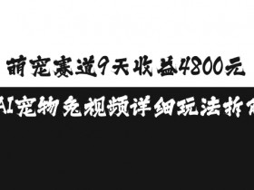 萌宠赛道9天收益4800元，AI宠物免视频详细玩法拆解