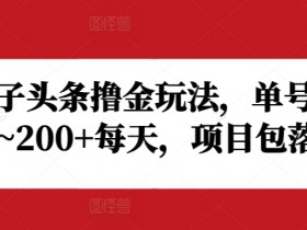 野路子头条撸金玩法，单号收益20~200+每天，项目包落地